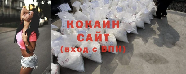 гашик Михайлов