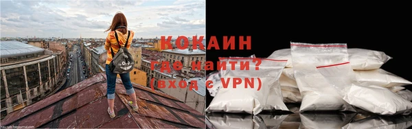 гашик Михайлов