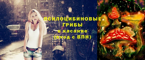 ПСИЛОЦИБИНОВЫЕ ГРИБЫ Надым