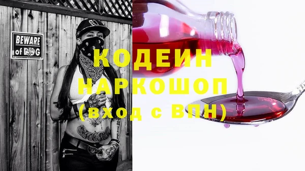 индика Медвежьегорск