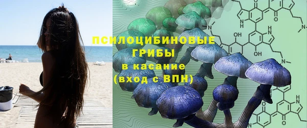 прущие крисы Михайловка