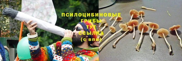 прущие крисы Михайловка