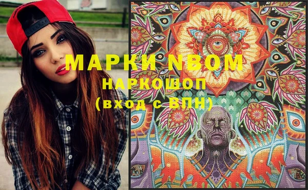 гашик Михайлов