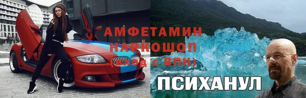 индика Медвежьегорск