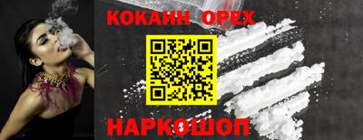 гашик Донской