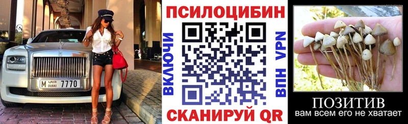 Галлюциногенные грибы мицелий  Зеленогорск 