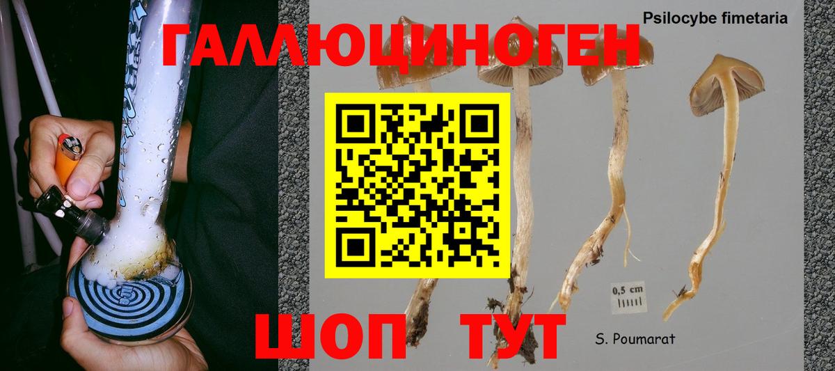 ГАШИШ Зеленогорск