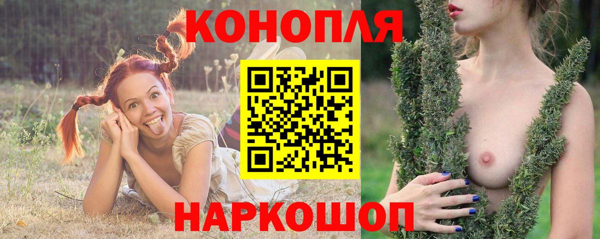 Бошки Шишки тримм  Шишки марихуана марихуана  Зеленогорск  МАРИХУАНА Amnesia 